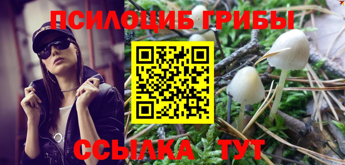 Псилоцибиновые грибы ЛСД  Вход с VPN  Добрянка  купить закладку  Псилоцибиновые грибы ЛСД 