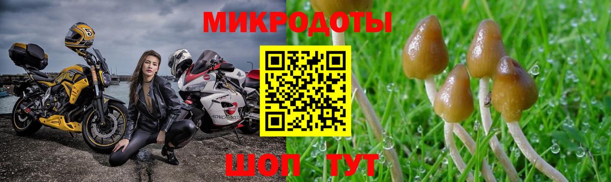 Псилоцибиновые грибы мицелий Добрянка